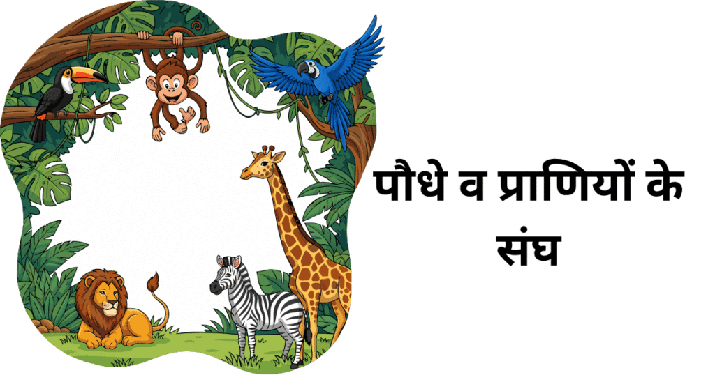 पौधे व प्राणियों के संघ